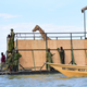 One of nine giraffes to be floated off the vanishing island.